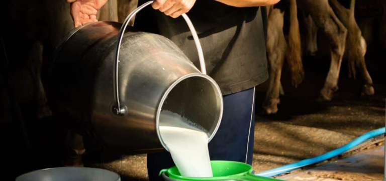 Karachi’s Milk Price Now Higher