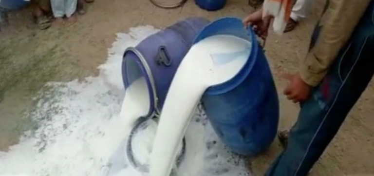 Synthetic milk factory seized in Karachi