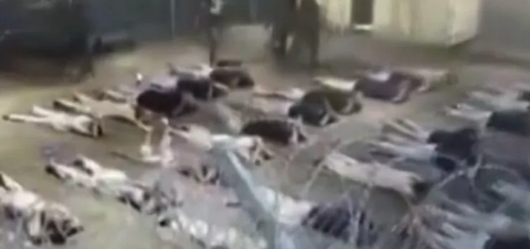 Israeli Soldiers Caught Assaulting Palestinian Detainee