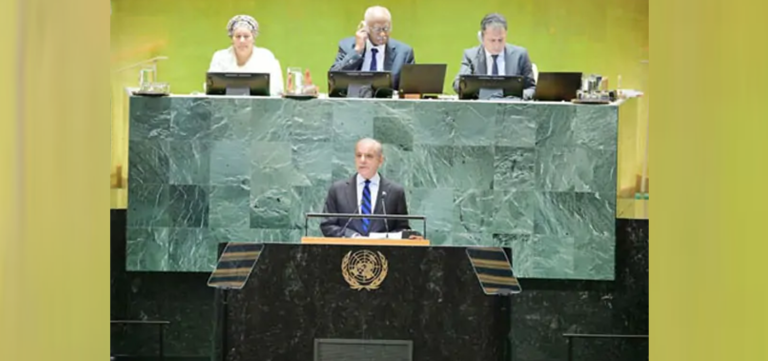 PM Shehbaz Sharif Condemns Israeli Aggression in Gaza at UNGA