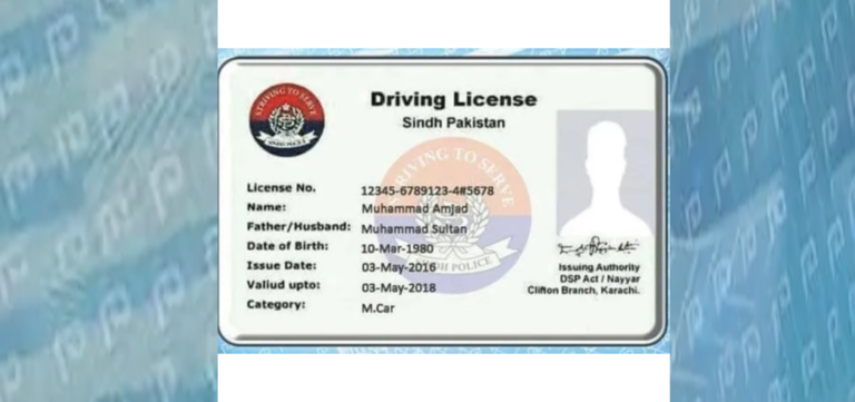 Sindh Government Launches Online Driving License Services