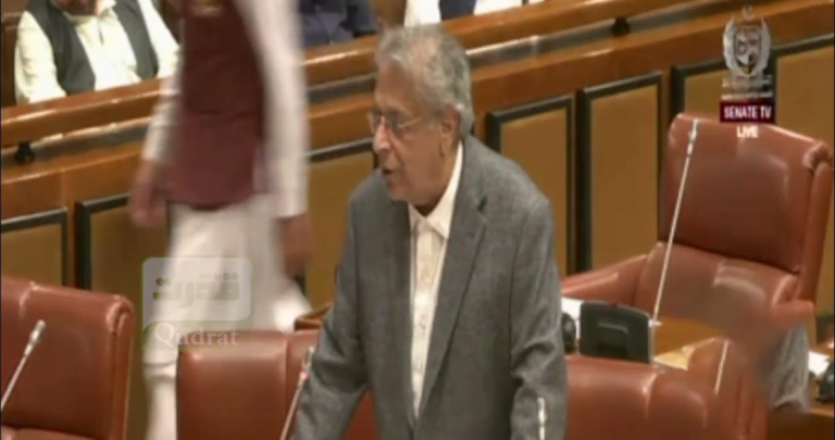 BNP-M’s Senator Qasim Roonjho Resigns After Voting for Constitutional Amendments