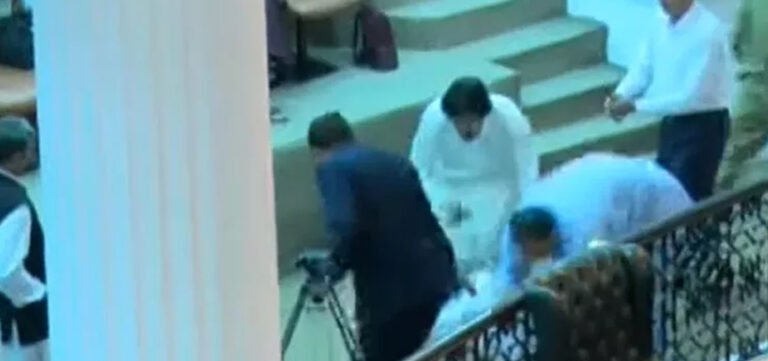 MPAs Brawl During Debate in KP Assembly