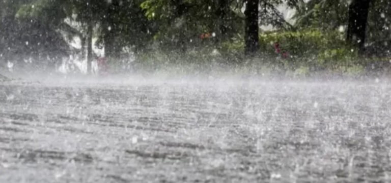 Rain Hits Parts of Punjab and Balochistan, Brings Relief
