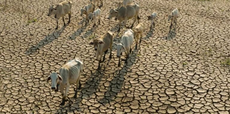 Climate Risk Index 2025